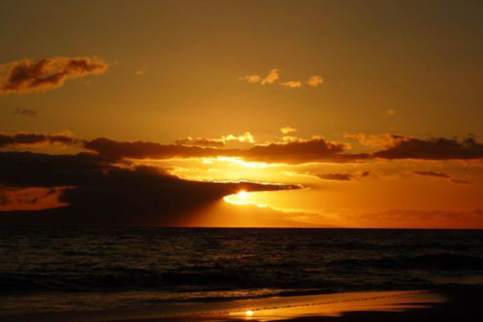 Kihei Akahi Aparthotel ไวเลอา ห้อง รูปภาพ